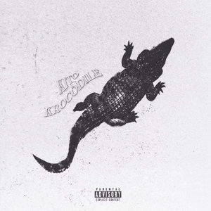 大鸡鸡使劲插骚穴
