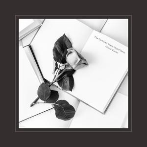 大鸡鸡使劲插骚穴
