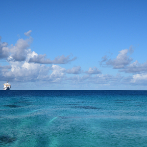 大鸡鸡使劲插骚穴
